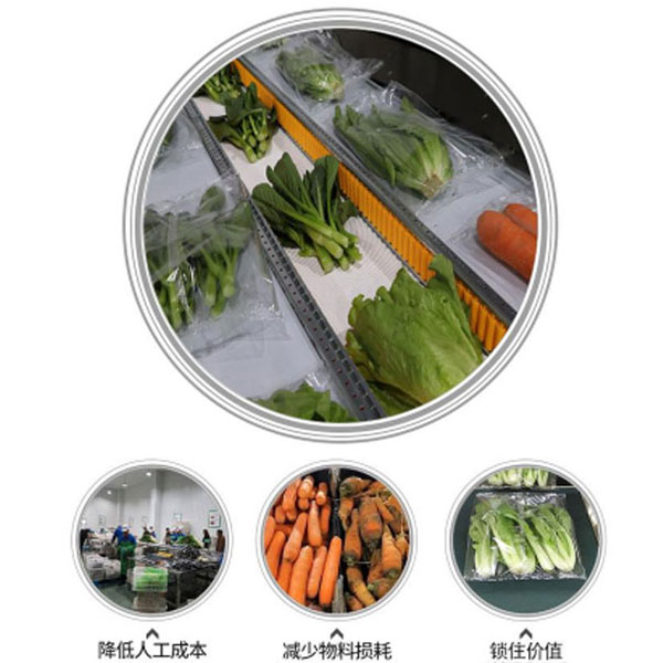 ȫ�Ԅӹ��߰��b�C