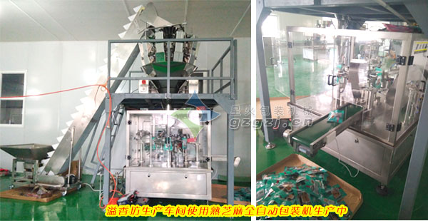 ��֥����b�C�͑�����